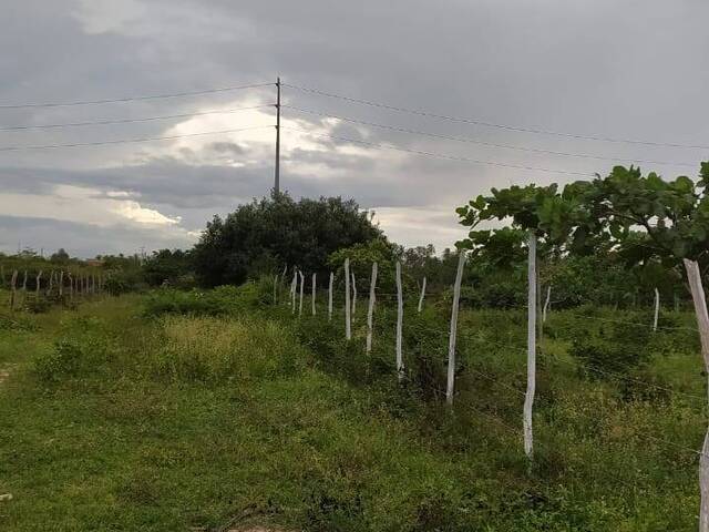 Terreno para Venda em Paracuru - 4