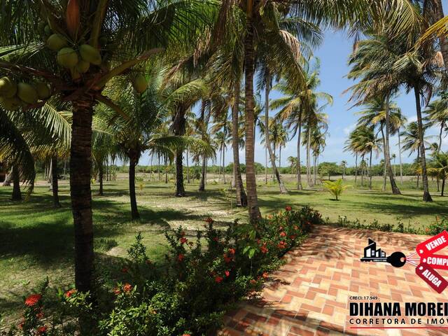 #242 - Casa para Venda em Paracuru - CE - 3